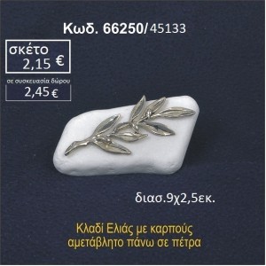 ΚΛΑΔΙ ΕΛΙΑΣ ΣΕ ΒΡΑΧΟ ΘΑΛΑΣΣΗΣ 66250/45133