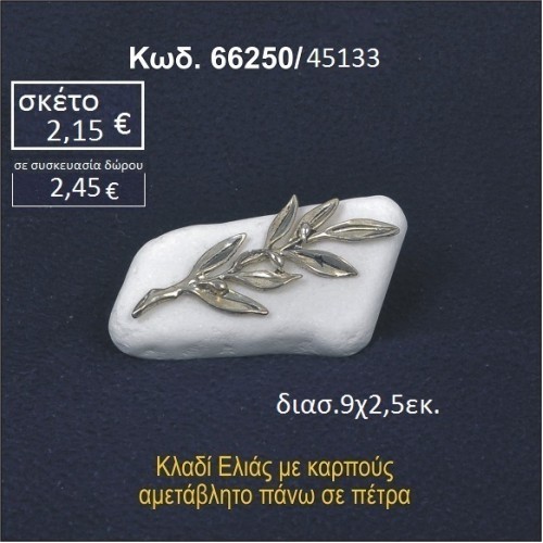 ΚΛΑΔΙ ΕΛΙΑΣ ΣΕ ΒΡΑΧΟ ΘΑΛΑΣΣΗΣ 66250/45133