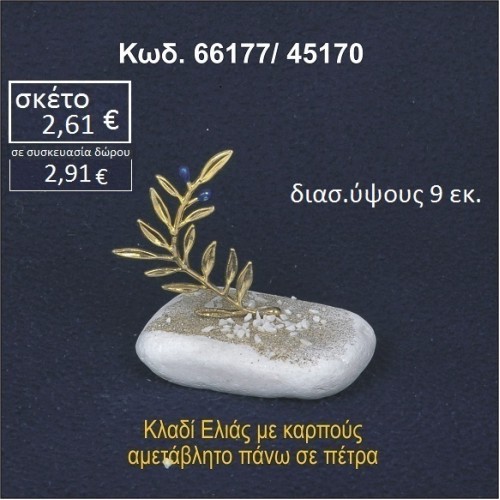 ΚΛΑΔΙ ΕΛΙΑΣ ΜΕ ΚΑΡΠΟΥΣ ΣΕ ΒΡΑΧΟ ΘΑΛΑΣΣΗΣ ΣΕ ΤΙΜΗ ΧΟΝΔΡΙΚΗΣ 66177/45170